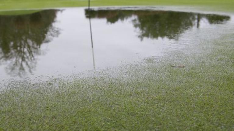 1024_x_576_waterlogged_greens_close_up.jpg