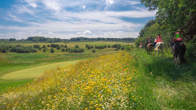 1024_x_576_wildflowers_enrich_the_farleigh_golf_club_environment_2.jpg