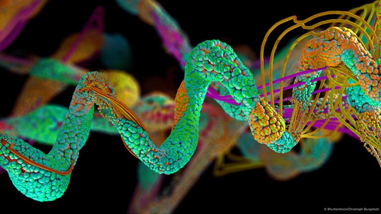 1024_x_576_structure_of_amino_acids_constructed_into_protein_chains.jpg