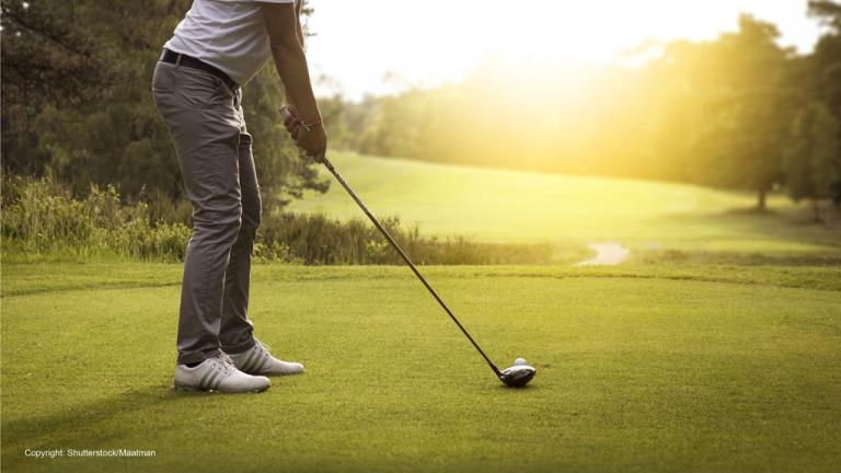1024_x_576_driver_tee_shade.jpg