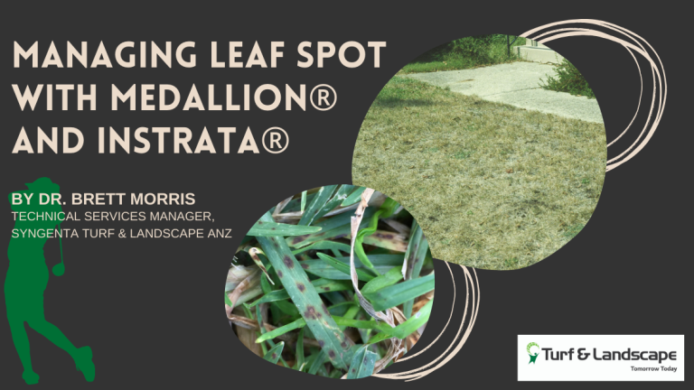 managing_leaf_spot_with_medallion
