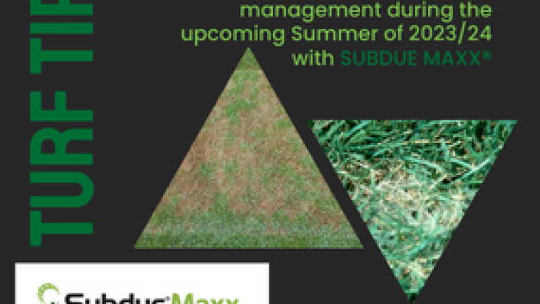 subdue_maxxr_web