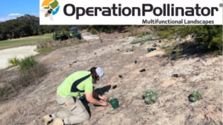 Operation Pollinator