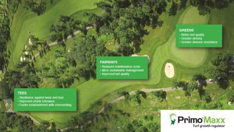 Primo Tee to Green image