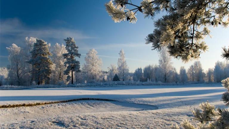 medallion_winter_d