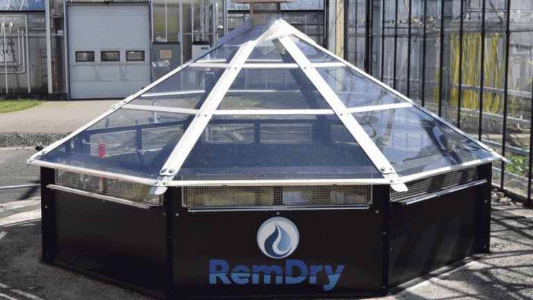 remdry