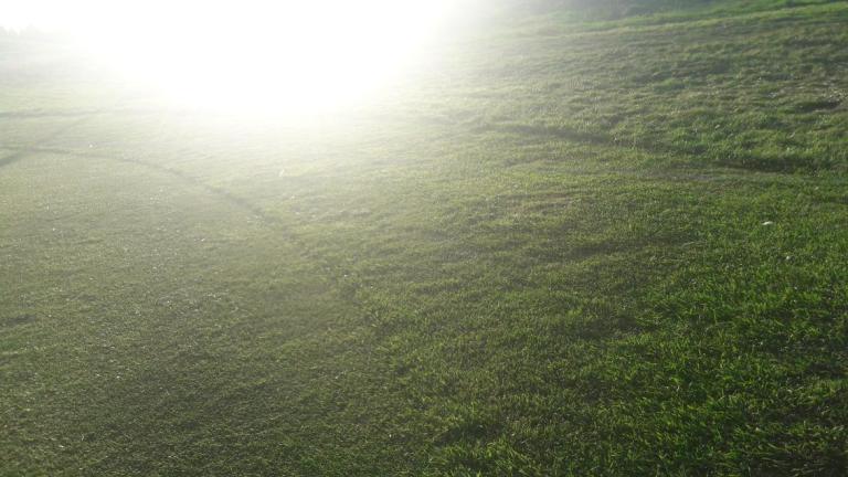 sonne_rasen