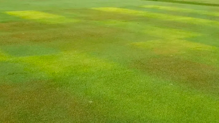 syngenta primomaxx ii