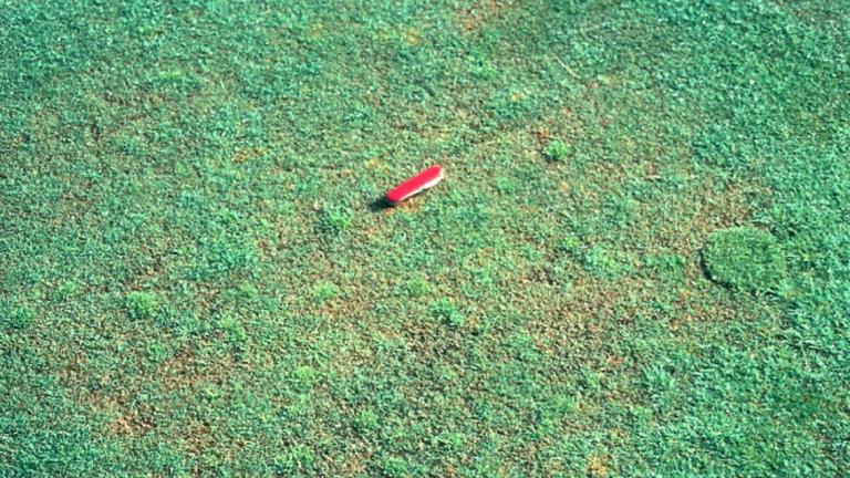 Pythium Root dysfunction