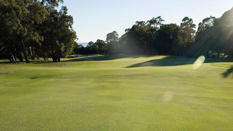 Golf course_herbicide article