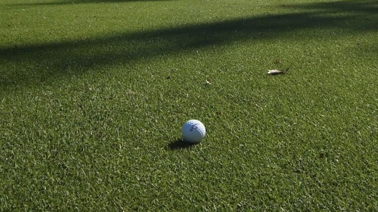 Turf for South Africa