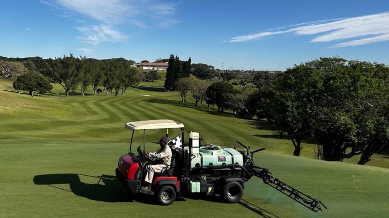 Dollar Spot on South African Golf Courses