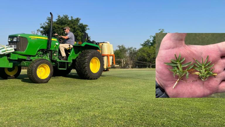 Plant Growth Regulators for Turf South Africa