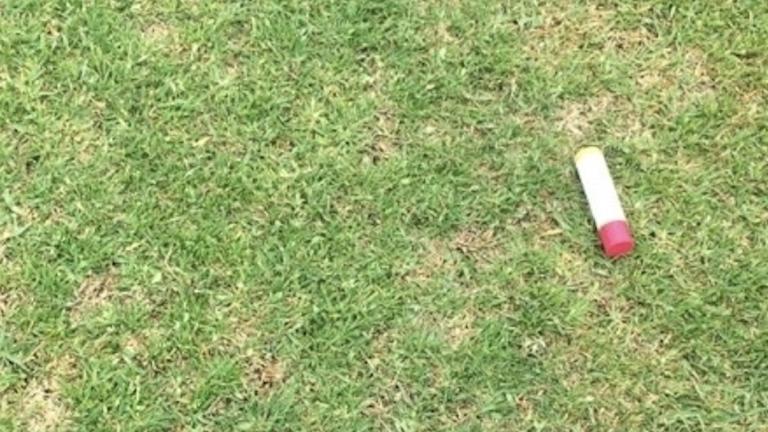 large patch control on golf courses