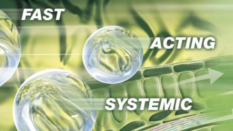 South African Turf Disease Fungicide - Banner Maxx
