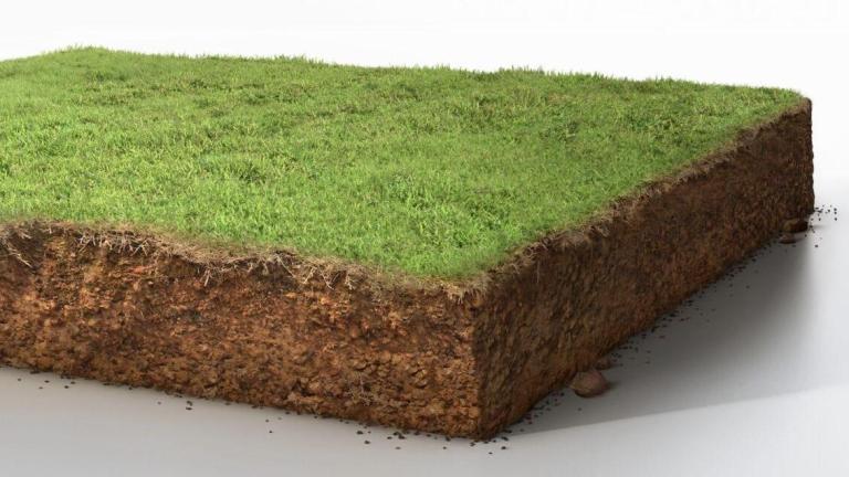 South Africa Turf Guide - Application Timings - All products, all diseases.