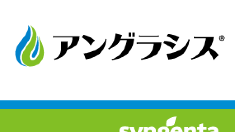 アングラシス