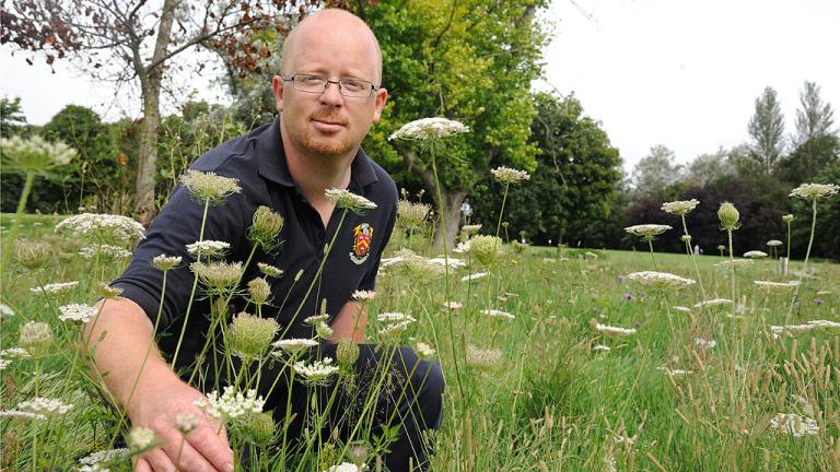 Operation Pollinator Champion proves a winnerSteve Thompson had long been an advocate of Operation Pollinator in habitat creation at John O'Gaunt in Bedfordshire - and then he won the Award.