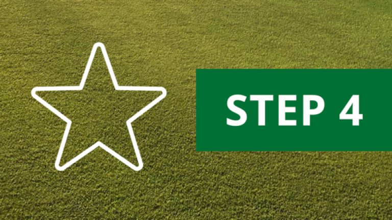Turf Rewards Step 4