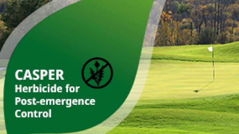 Casper for Post-Emergent Weeds Control