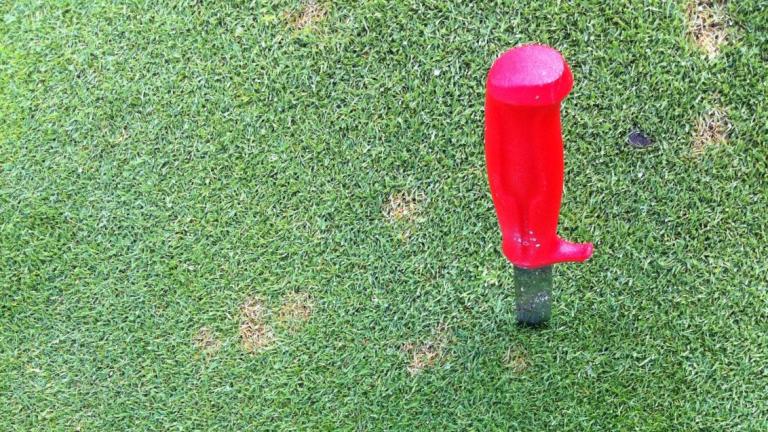 Dollar spot