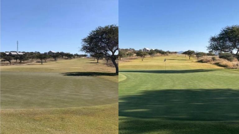 Ryder - Before and After - See for Yourself