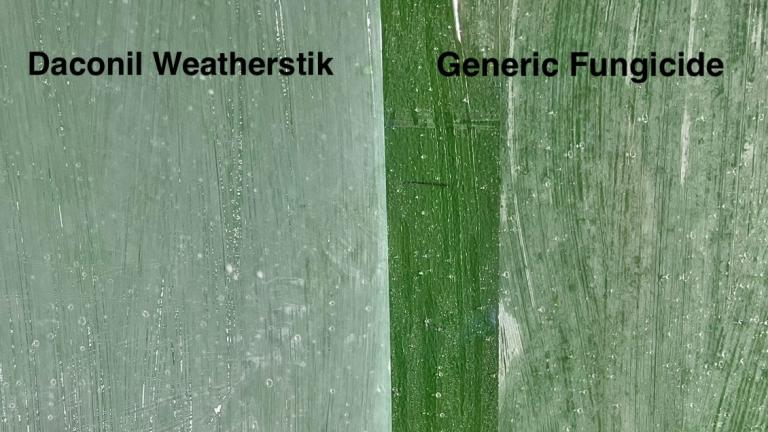 Daconil Weatherstik Fungicide for Turf in South Africa
