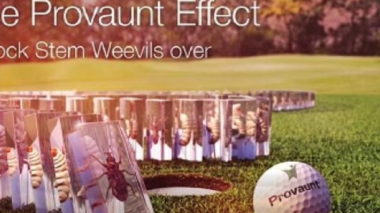 Provaunt