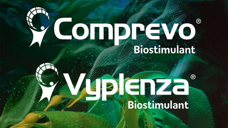 vyplenza_comprevo_image.png