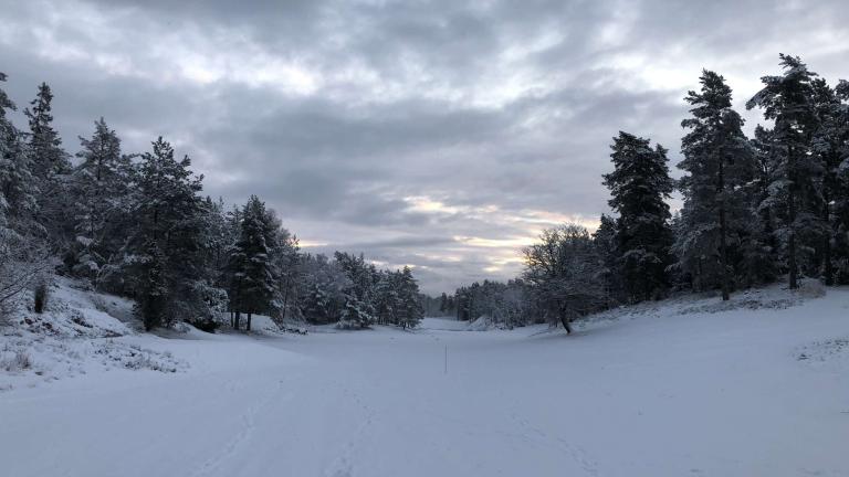 Midvinter