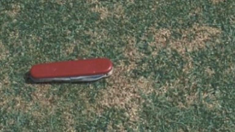 Treating Anthracnose on South African Golf Courses 