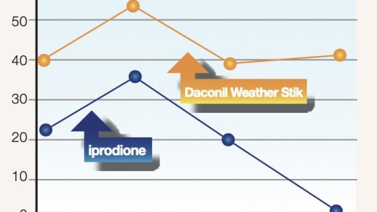 Daconil Weatherstik Fungicide for Turf in South Africa