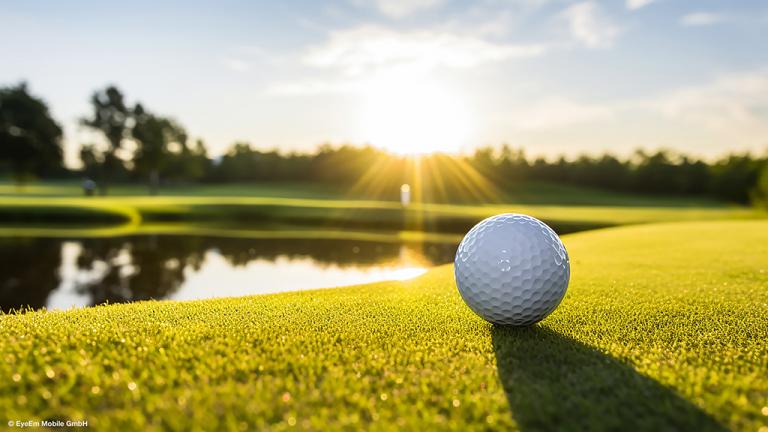 Summer stress on turf