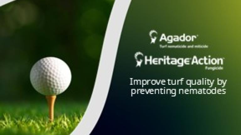 Syngenta Turf & Landscape graphic on nematode prevention, with golf ball on tee and logos