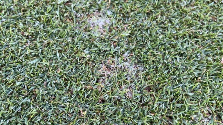 Dollar spot Nordics