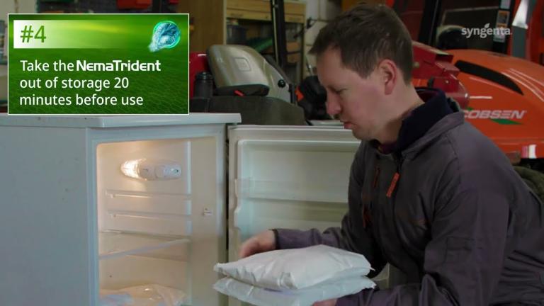 Getting the best from Nematrident for leatherjacket management in turf