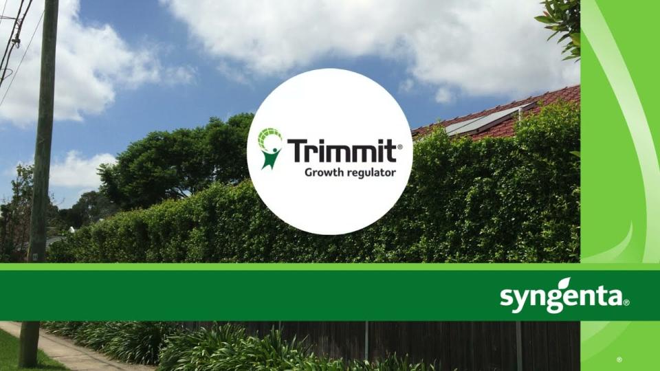 Trimmit - Growth Regulator | Syngenta Professional Solutions