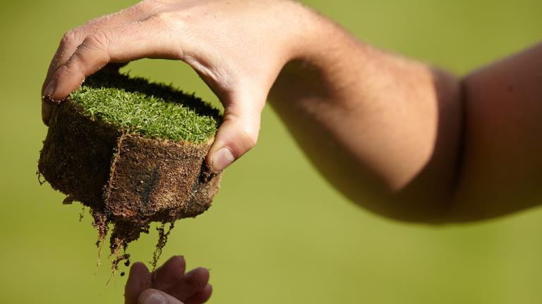 Promoting stronger rooting in turf