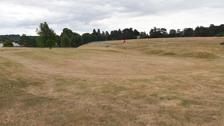 Drought effects on golf green