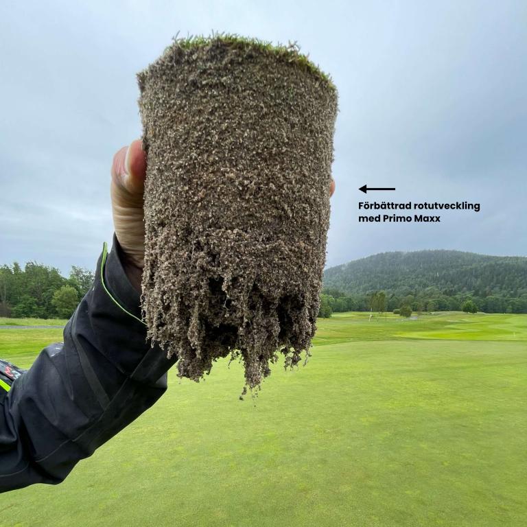Primo Maxx - Rotutvecling
