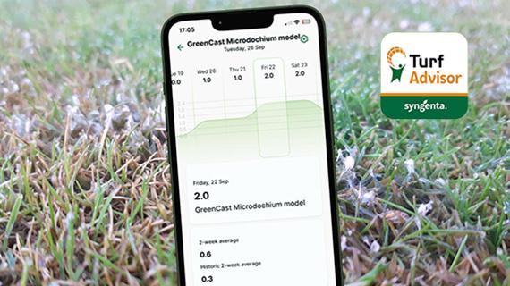 570_x_320_turf_advisor_screens_-_microdochium_patch.jpg
