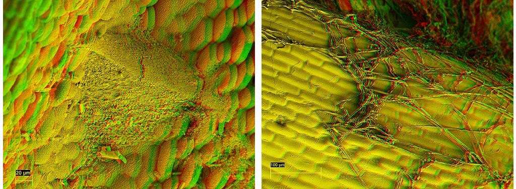 1024_x_375_formulation_comparison.jpg