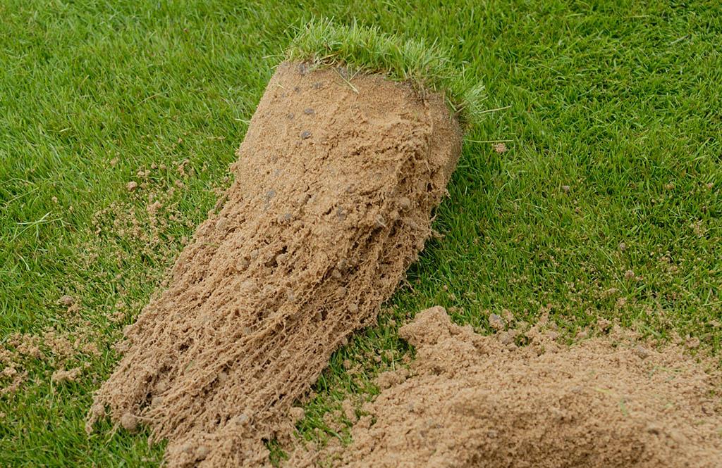 1024_x_665_root_out_moisture.jpg