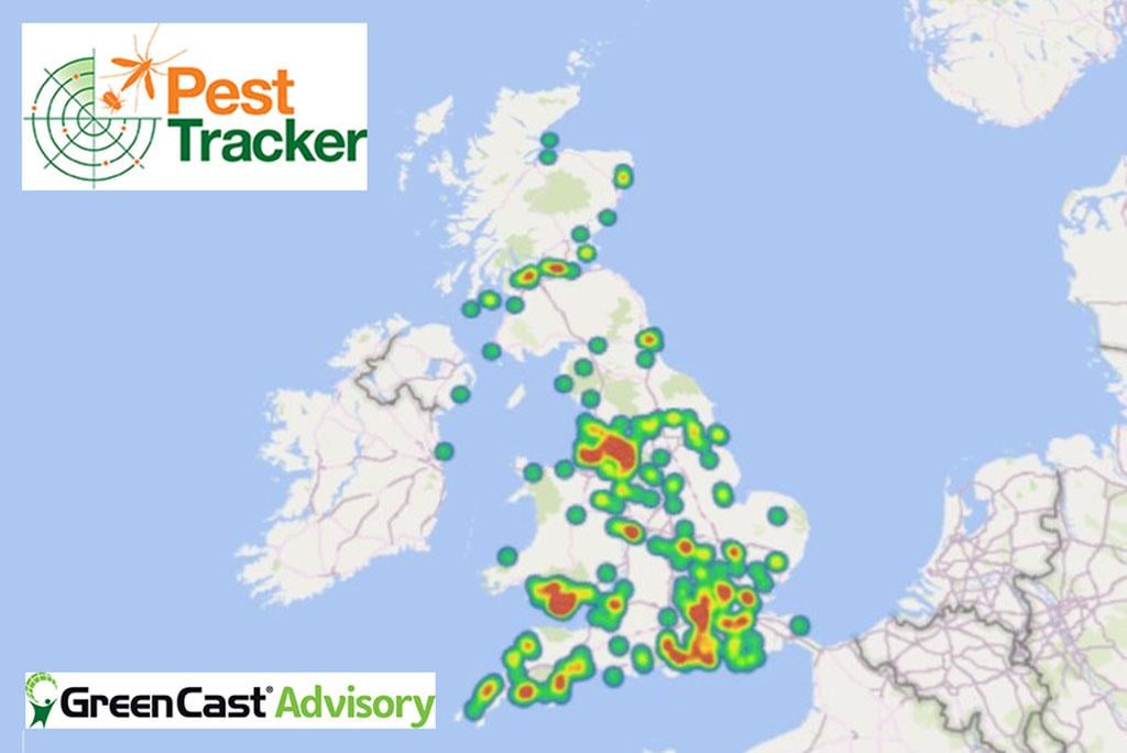 1024_x_684_autumn_crane_fly_emergence_heat_map.jpg