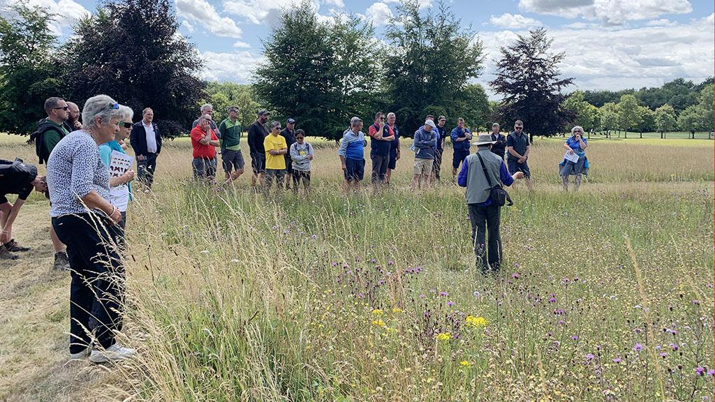 1024_x_576_corhampton_bigga_ecology_walk.jpg