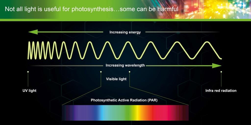1024_x_513_-_harmful_rays.jpg
