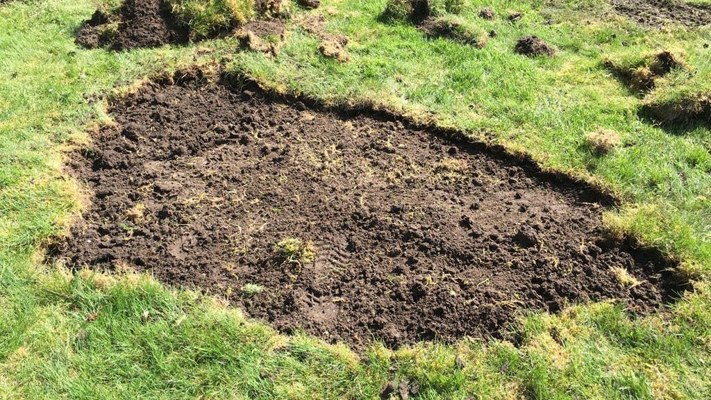 1024_x_576_-_chafer_damage_in_turf_14996.jpg
