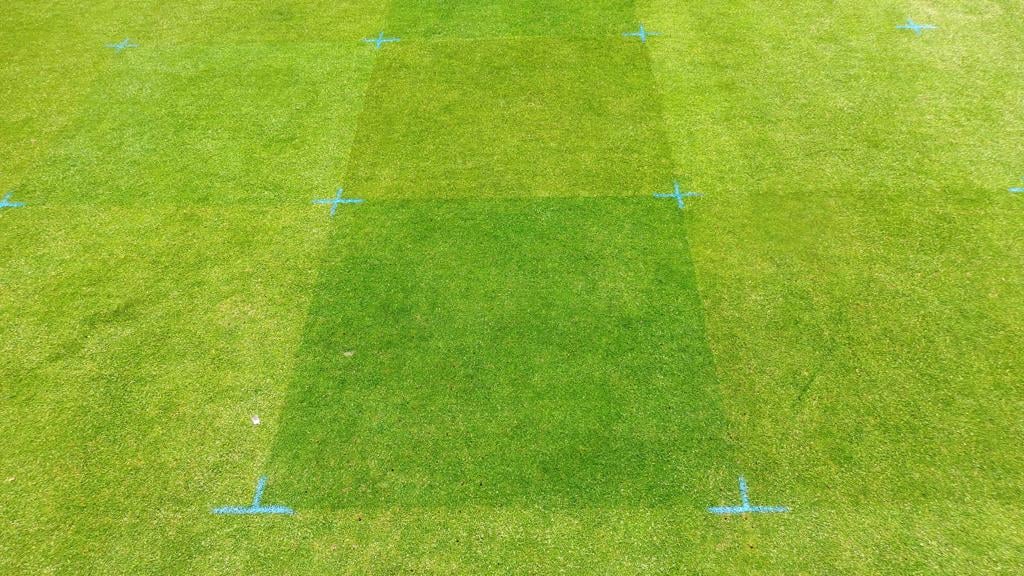 1024_x_576_-_icl_trials_showing_effects_of_ryder_within_hours_of_application_-_applied_at_2_litres_per_hectare_in_combination_with_stressbuster_at_40_l_per_ha.jpg