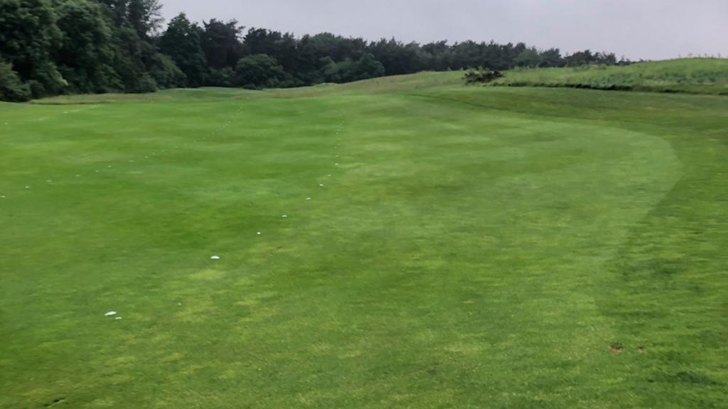 1024_x_576_-_ryder_fairway_treatment.jpg