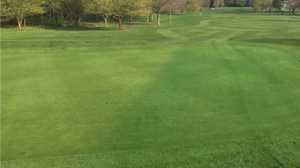 1024_x_576_-_ryder_treated_green.jpg